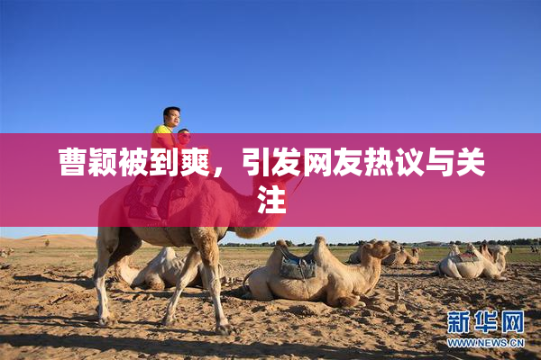 曹颖被到爽，引发网友热议与关注