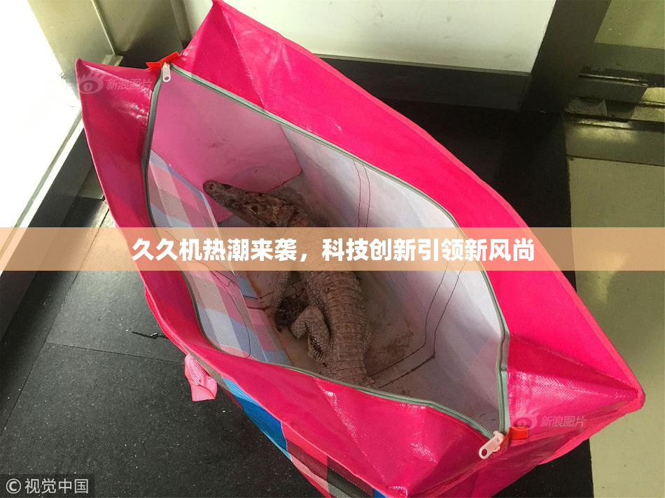 久久机热潮来袭，科技创新引领新风尚