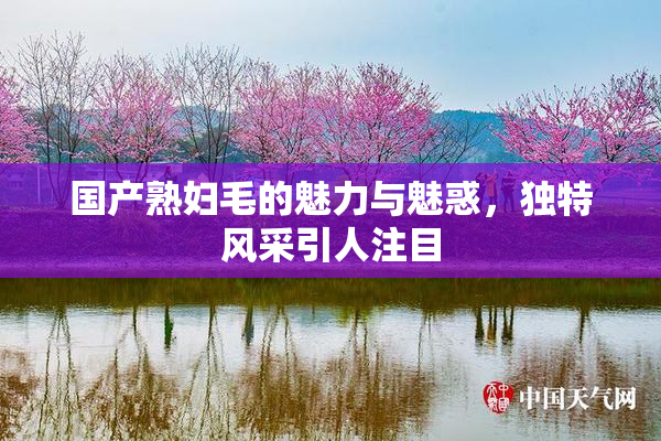 国产熟妇毛的魅力与魅惑，独特风采引人注目