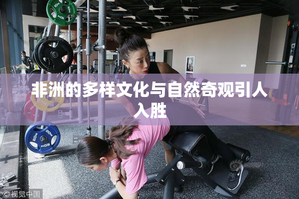 非洲的多样文化与自然奇观引人入胜