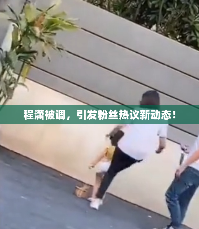 程潇被调，引发粉丝热议新动态！