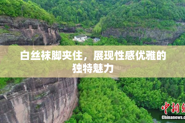 白丝袜脚夹住，展现性感优雅的独特魅力