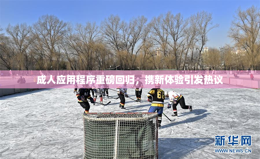 成人应用程序重磅回归，携新体验引发热议