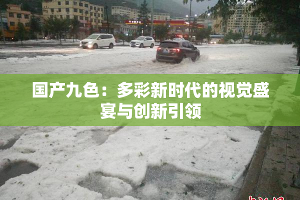 国产九色：多彩新时代的视觉盛宴与创新引领
