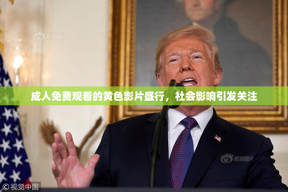 成人免费观看的黄色影片盛行，社会影响引发关注
