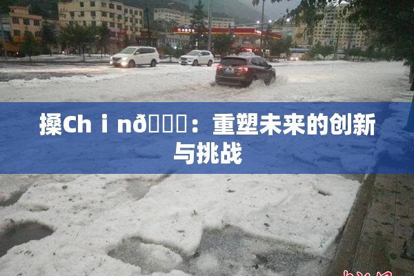搡Chⅰn🈚：重塑未来的创新与挑战