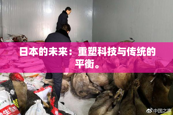 日本的未来：重塑科技与传统的平衡。