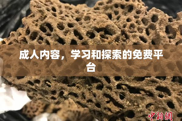 成人内容，学习和探索的免费平台