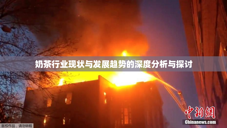 奶茶行业现状与发展趋势的深度分析与探讨
