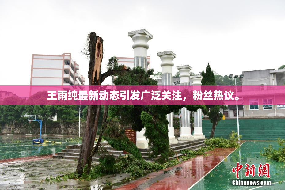 王雨纯最新动态引发广泛关注，粉丝热议。