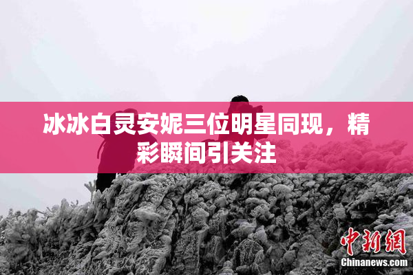 冰冰白灵安妮三位明星同现，精彩瞬间引关注