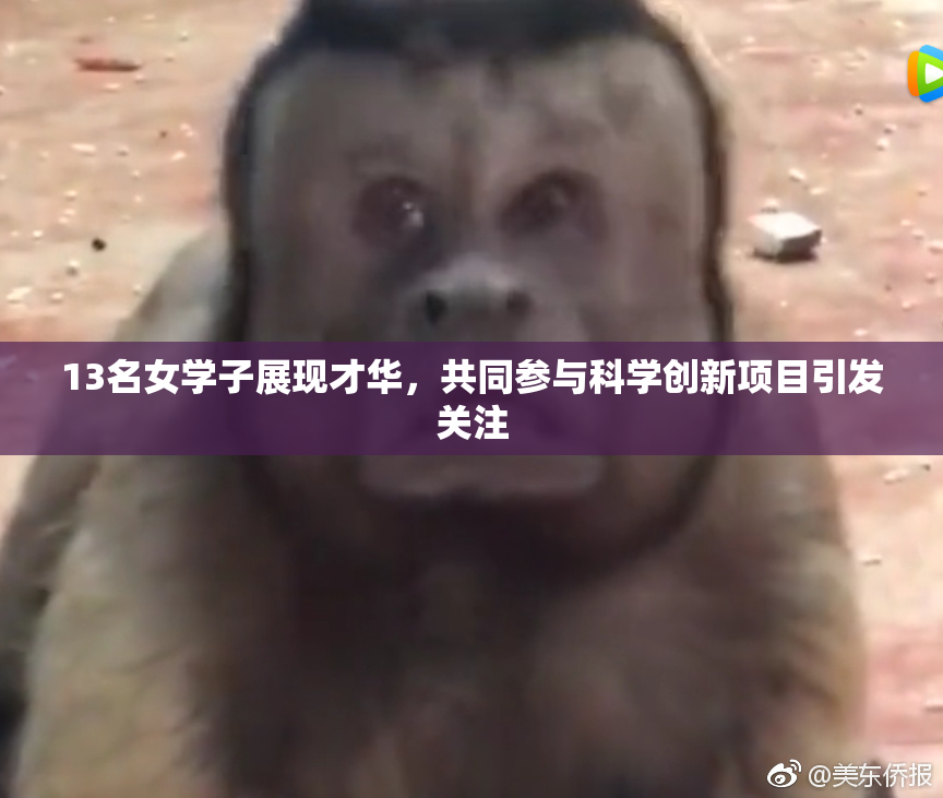 13名女学子展现才华，共同参与科学创新项目引发关注