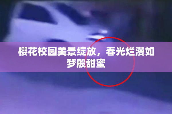 樱花校园美景绽放，春光烂漫如梦般甜蜜