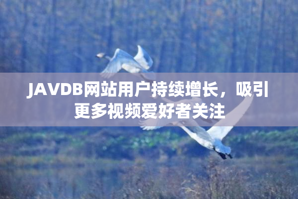 JAVDB网站用户持续增长，吸引更多视频爱好者关注