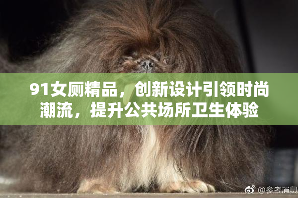 91女厕精品，创新设计引领时尚潮流，提升公共场所卫生体验