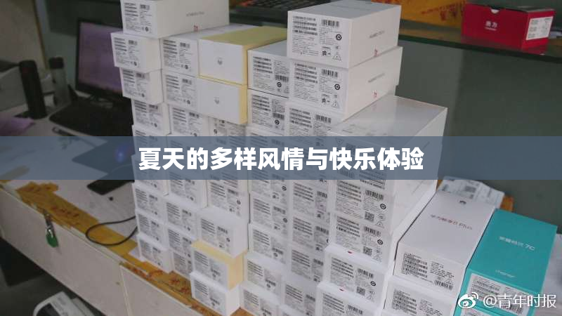 夏天的多样风情与快乐体验