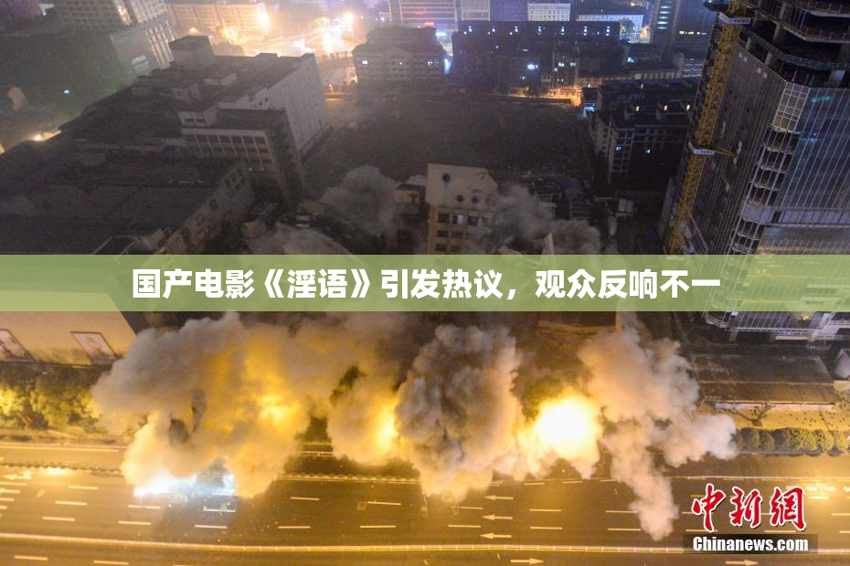 国产电影《淫语》引发热议，观众反响不一