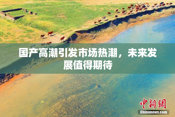 国产高潮引发市场热潮，未来发展值得期待