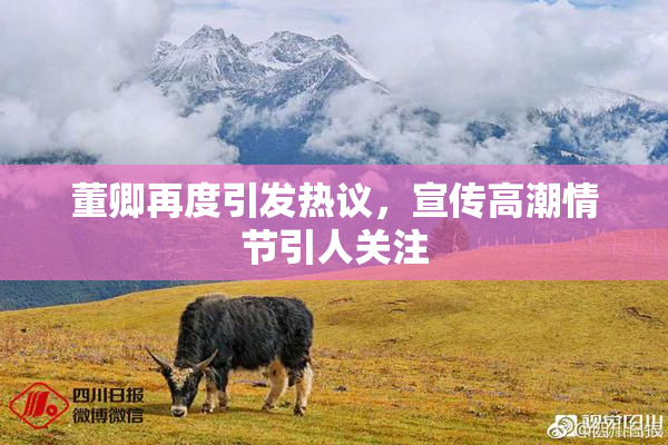 董卿再度引发热议，宣传高潮情节引人关注