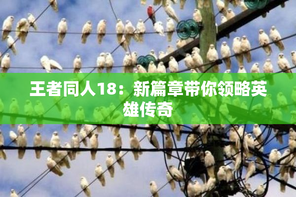 王者同人18：新篇章带你领略英雄传奇