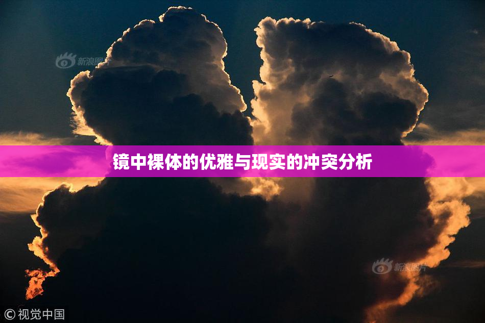 镜中裸体的优雅与现实的冲突分析