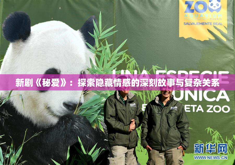 新剧《秘爱》：探索隐藏情感的深刻故事与复杂关系