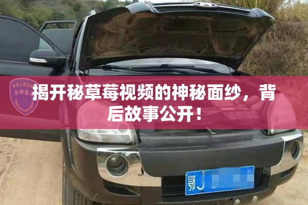 揭开秘草莓视频的神秘面纱，背后故事公开！