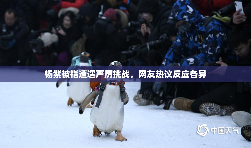杨紫被指遭遇严厉挑战，网友热议反应各异