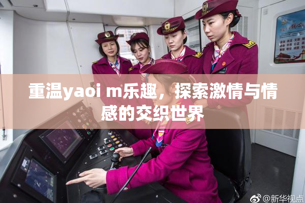 重温yaoi m乐趣，探索激情与情感的交织世界