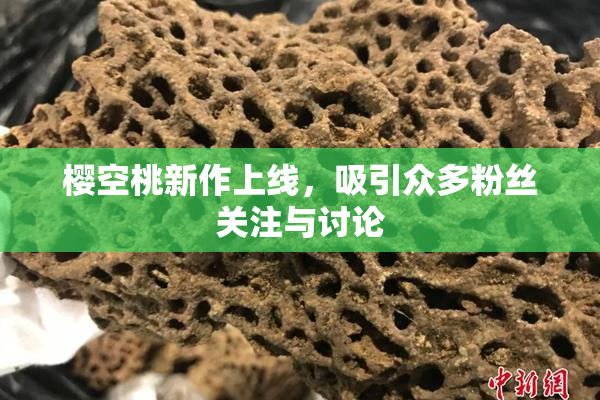 樱空桃新作上线，吸引众多粉丝关注与讨论