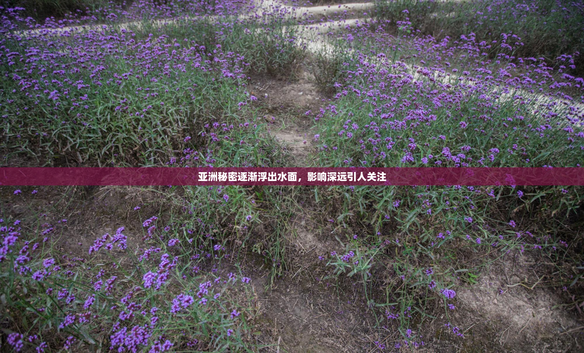 亚洲秘密逐渐浮出水面，影响深远引人关注