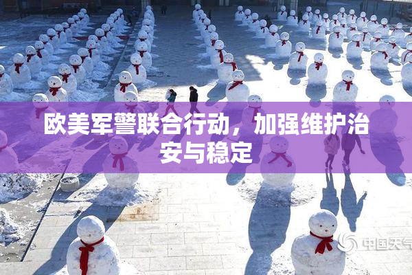 欧美军警联合行动，加强维护治安与稳定