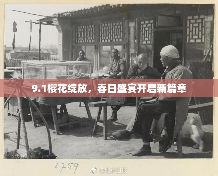 9.1樱花绽放，春日盛宴开启新篇章