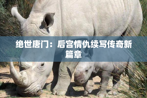 绝世唐门：后宫情仇续写传奇新篇章