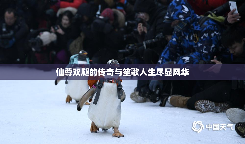 仙尊双腿的传奇与笙歌人生尽显风华