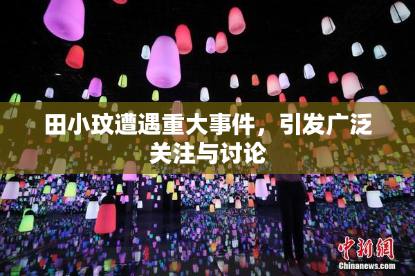 田小玟遭遇重大事件，引发广泛关注与讨论