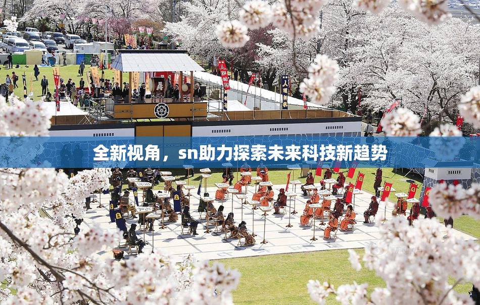全新视角，sn助力探索未来科技新趋势