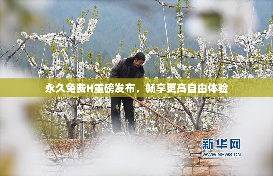 永久免费H重磅发布，畅享更高自由体验
