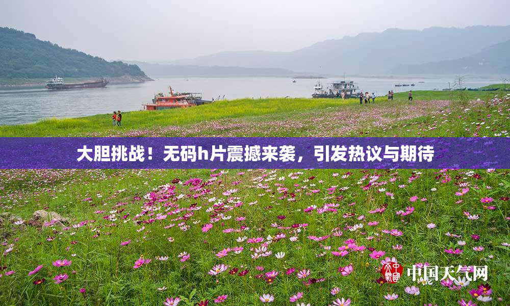 大胆挑战！无码h片震撼来袭，引发热议与期待