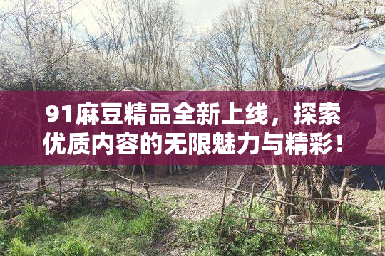 91麻豆精品全新上线，探索优质内容的无限魅力与精彩！