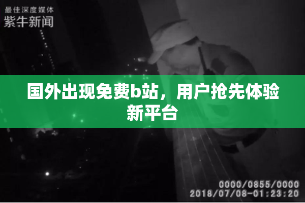 国外出现免费b站，用户抢先体验新平台