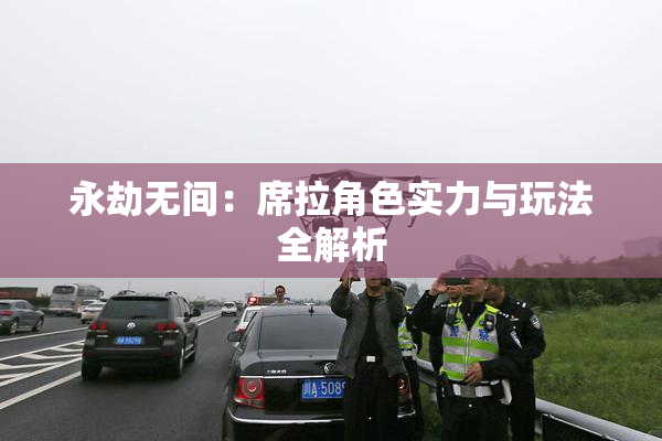 永劫无间：席拉角色实力与玩法全解析