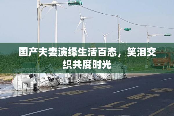国产夫妻演绎生活百态，笑泪交织共度时光