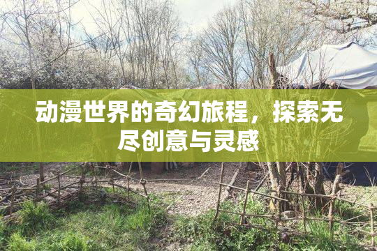 动漫世界的奇幻旅程，探索无尽创意与灵感