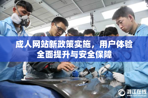 成人网站新政策实施，用户体验全面提升与安全保障