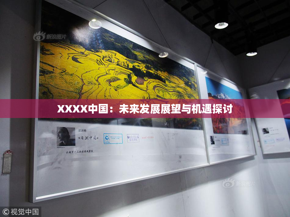 XXXX中国：未来发展展望与机遇探讨