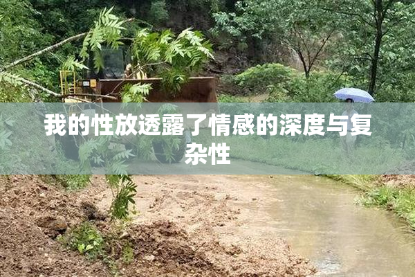 我的性放透露了情感的深度与复杂性