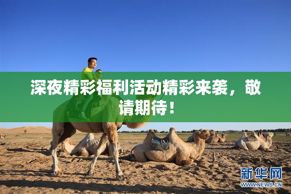 深夜精彩福利活动精彩来袭，敬请期待！