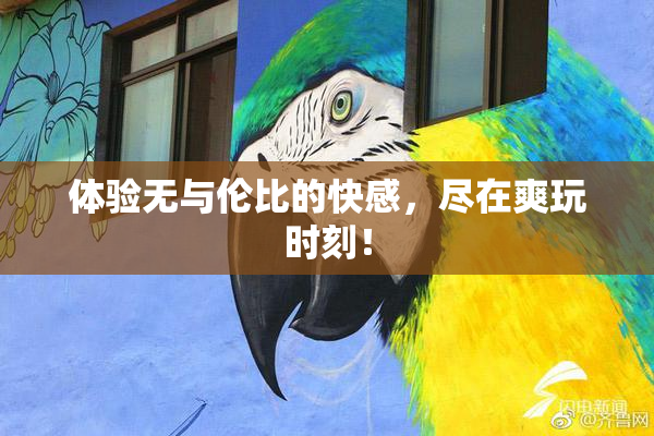 体验无与伦比的快感，尽在爽玩时刻！