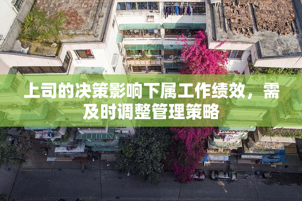 上司的决策影响下属工作绩效，需及时调整管理策略